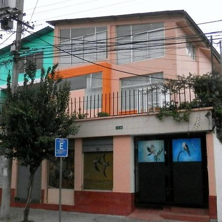 Bird Garden Guest House Quito Exterior foto