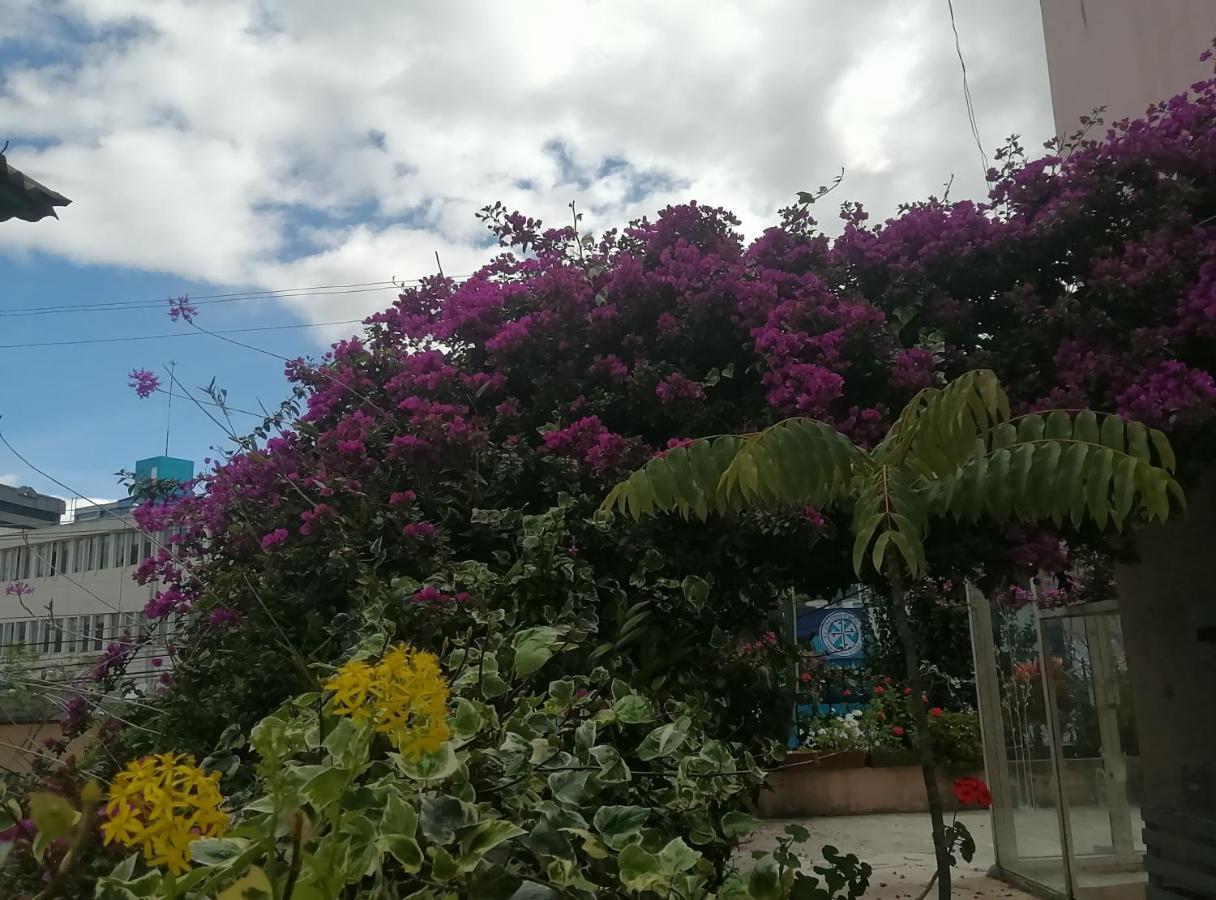 Bird Garden Guest House Quito Exterior foto